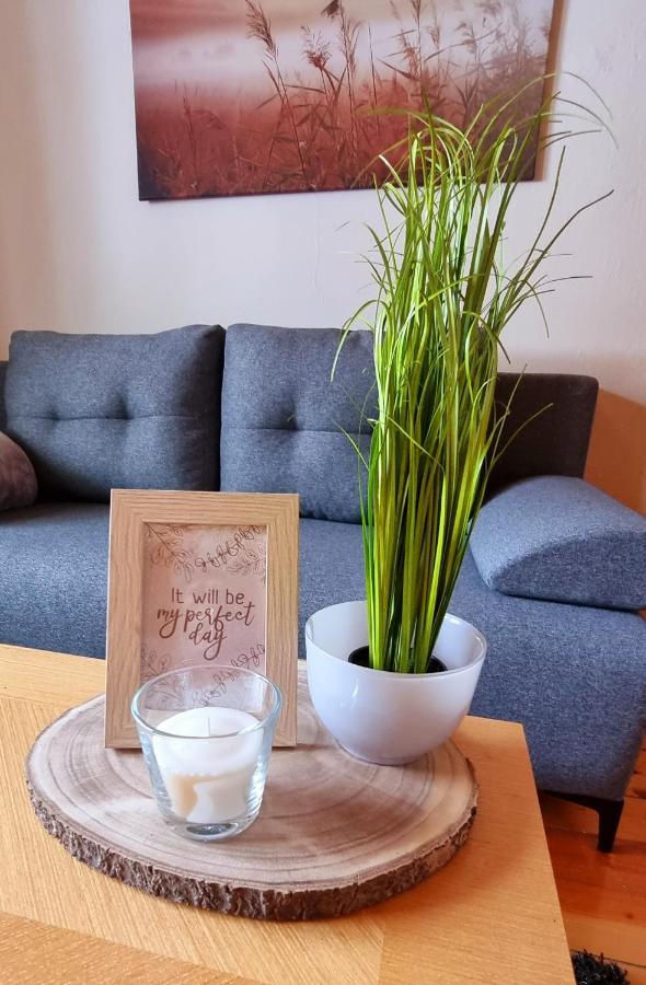 Apartma Metka Bovec Zewnętrze zdjęcie